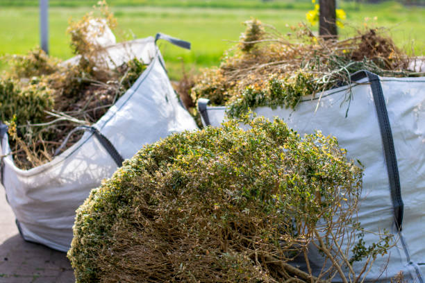 Best Residential Junk Removal  in Swifton, AR
